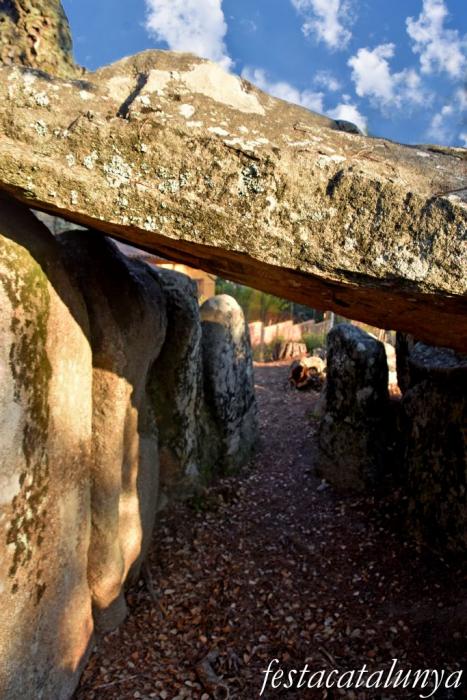 Santa Cristina d'Aro - Dolmen del mas Bou-serenys 