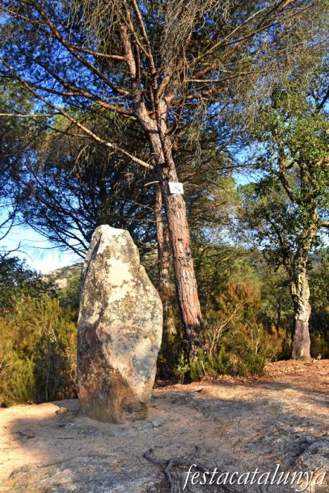 Santa Cristina d'Aro - Menhir de can Llaurador