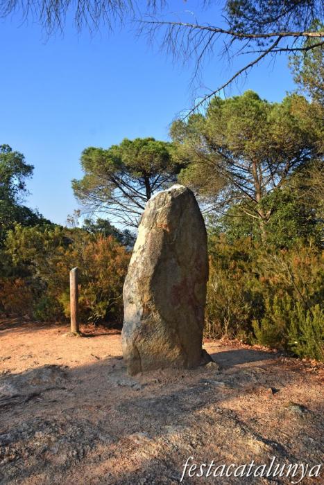 Santa Cristina d'Aro - Menhir de can Llaurador 