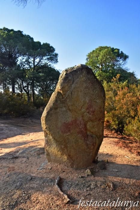 Santa Cristina d'Aro - Menhir de can Llaurador  
