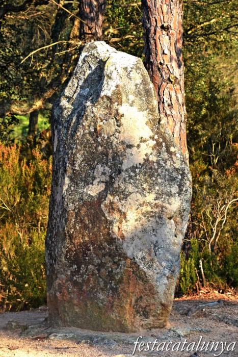 Santa Cristina d'Aro - Menhir de can Llaurador 