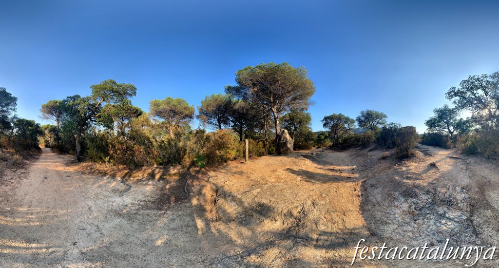 Santa Cristina d'Aro - Menhir de can Llaurador 