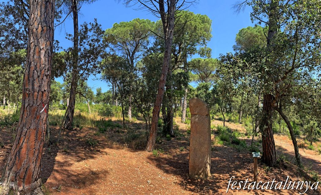 Santa Cristina d'Aro - Menhir de la Murtra