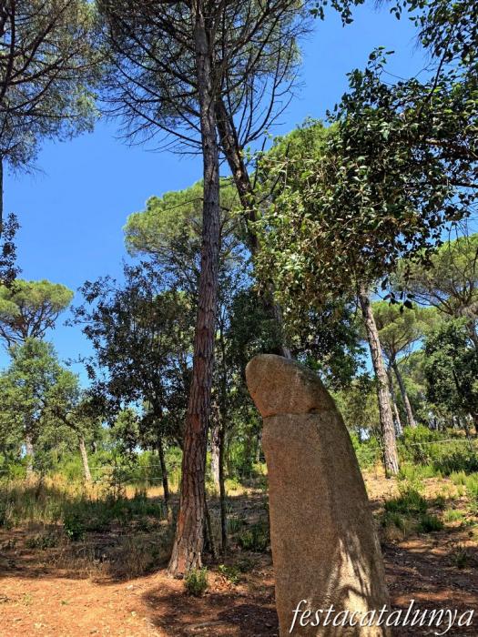 Santa Cristina d'Aro - Menhir de la Murtra 