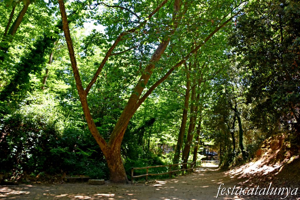 Santa Cristina d'Aro - Font picant
