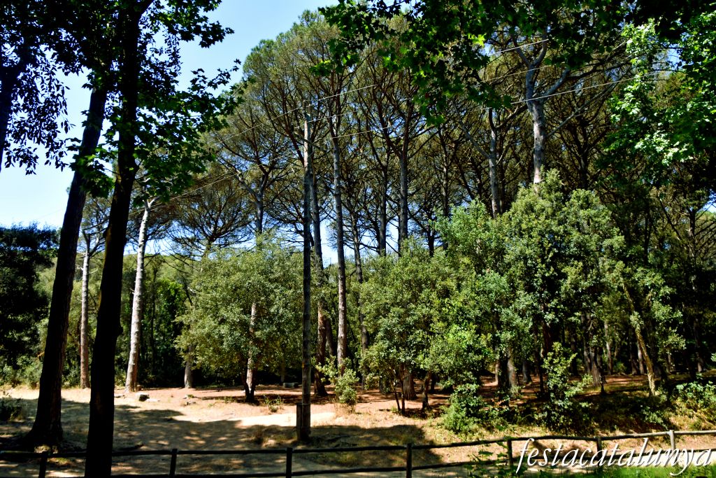 Santa Cristina d'Aro - Font picant