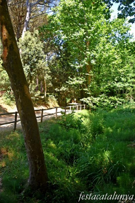 Santa Cristina d'Aro - Font picant