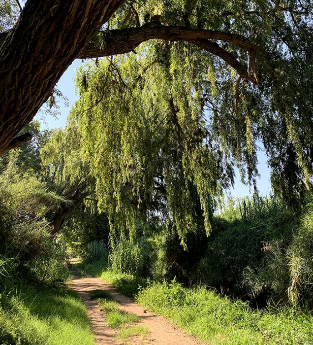 Los Patamolls de Montoliu de Lleida ***