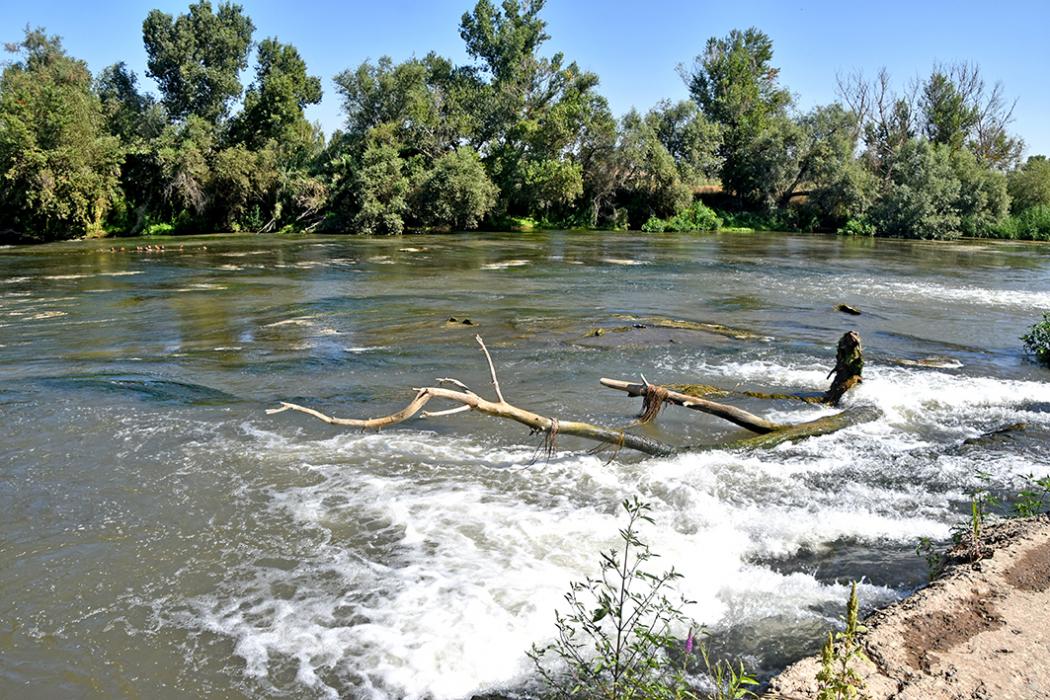 La Palanca sobre el Segre a Montoliu de Lleida