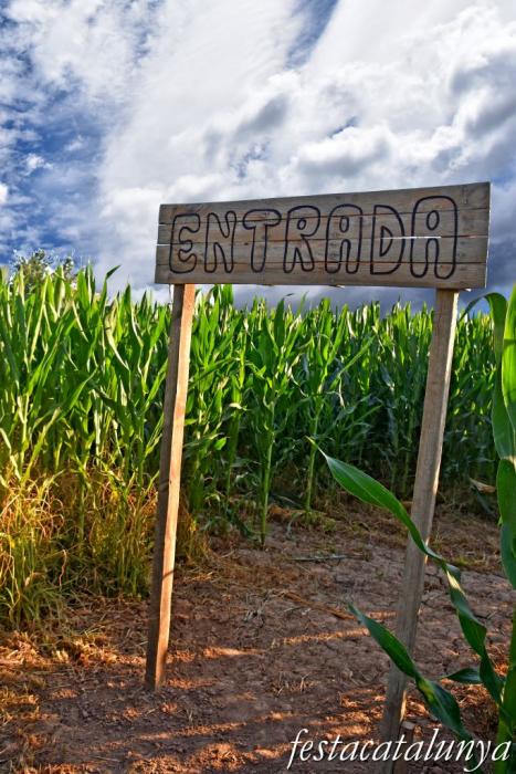 Castellserà - Laberint de blat de moro 