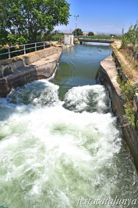 Anglesola - Ruta de les Peixeres 