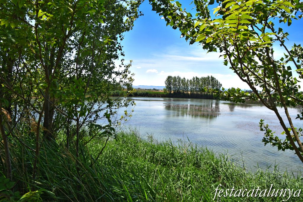 Anglesola - Embassament de l'Arenal 