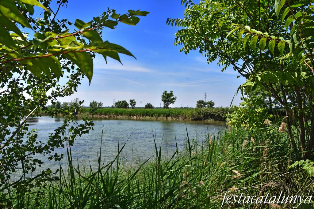 Anglesola - Embassament de l'Arenal 