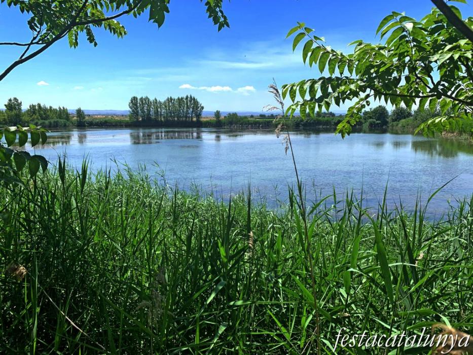 Anglesola - Embassament de l'Arenal 