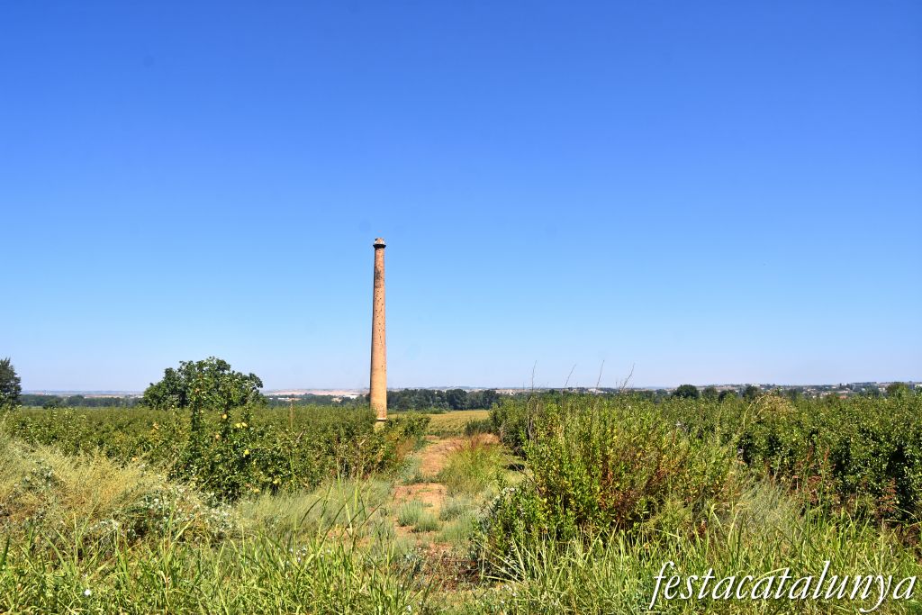 Montoliu de Lleida - Fumeral de l'antic molí d'oli  