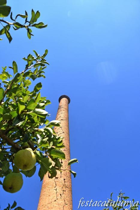 Montoliu de Lleida - Fumeral de l'antic molí d'oli  