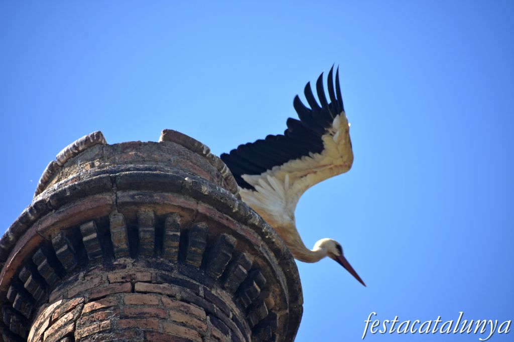 Montoliu de Lleida - Fumeral de l'antic molí d'oli 