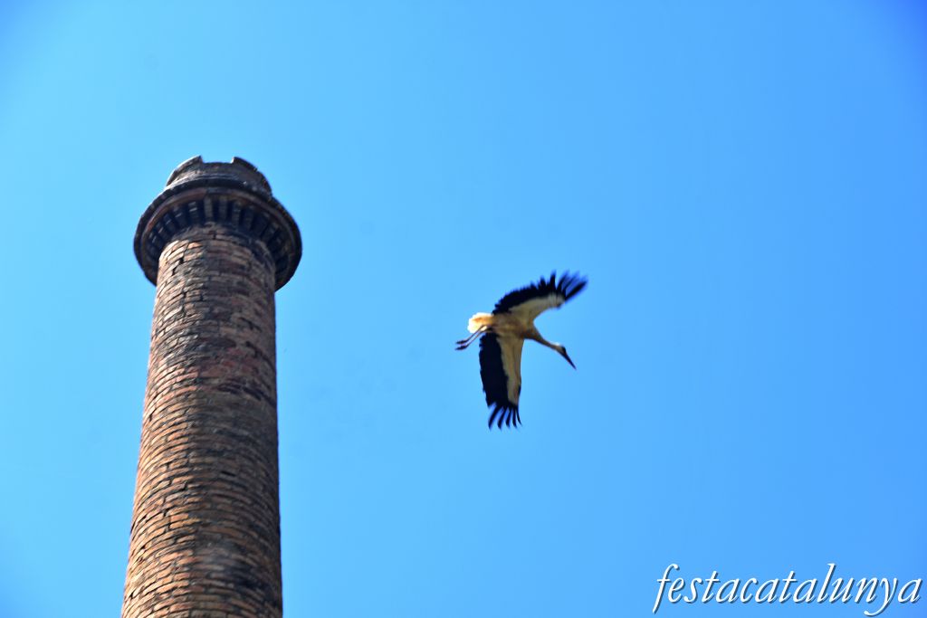 Montoliu de Lleida - Fumeral de l'antic molí d'oli  