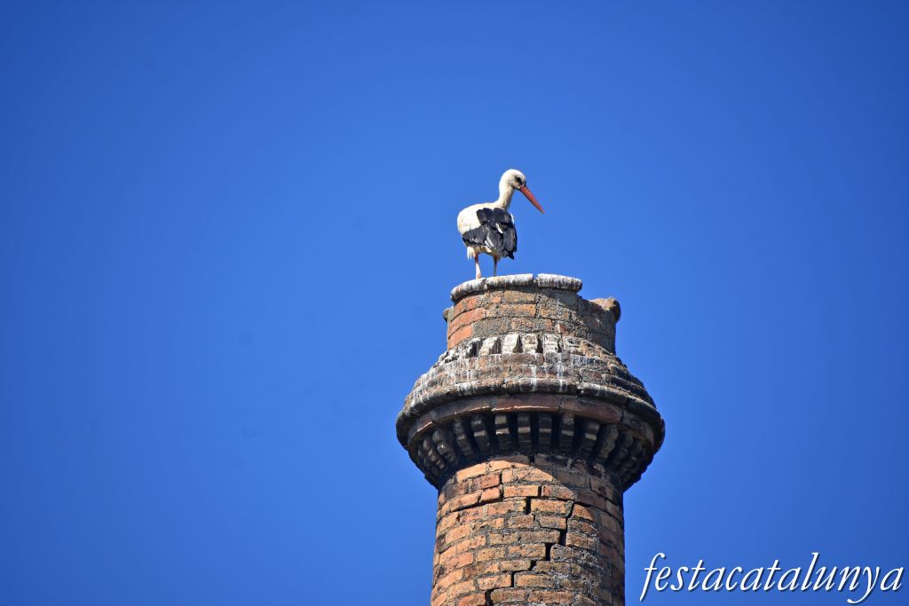Montoliu de Lleida - Fumeral de l'antic molí d'oli  
