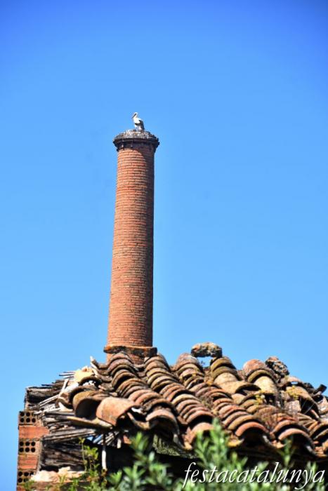 Montoliu de Lleida - Fumeral de la Teuleria Tonino 