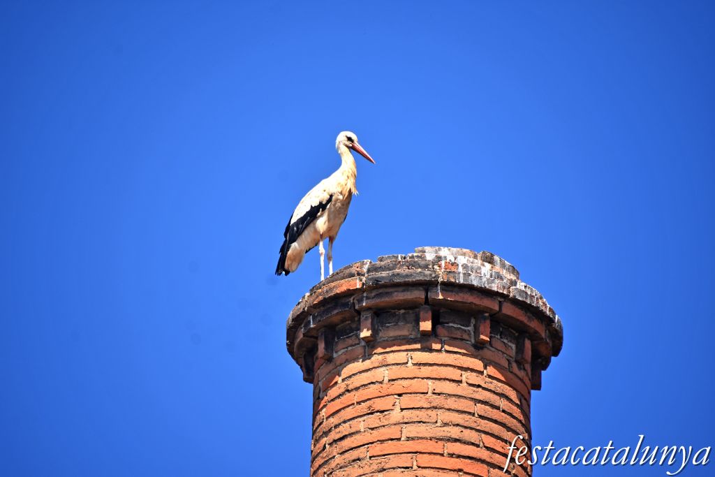 Montoliu de Lleida - Fumeral de la Teuleria Tonino 