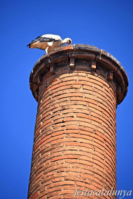 Montoliu de Lleida - Fumeral de la Teuleria Tonino 