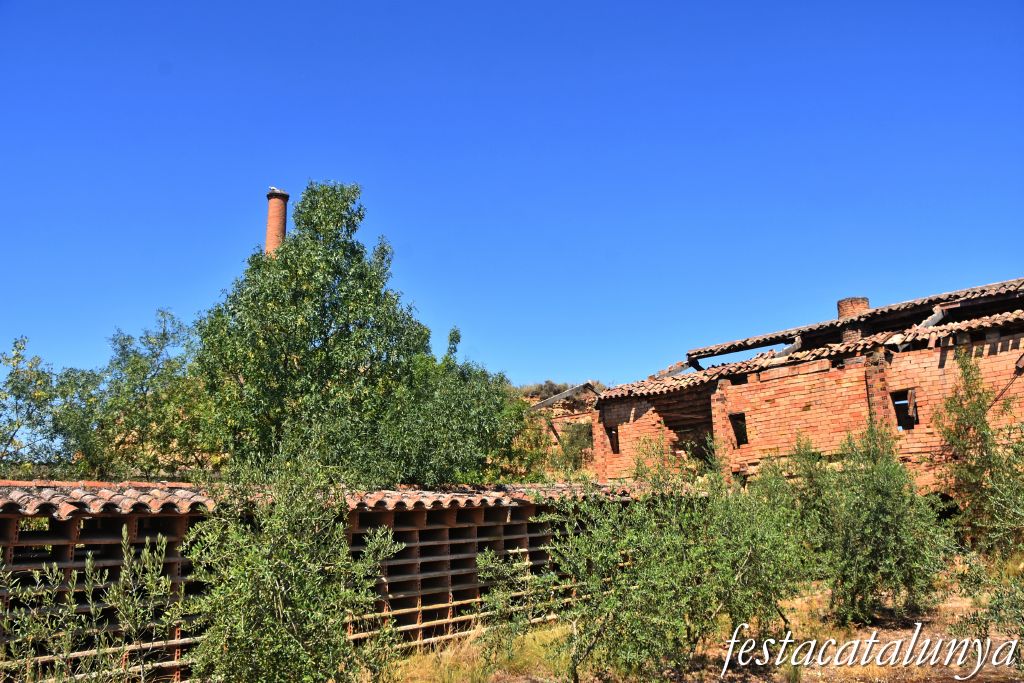 Montoliu de Lleida - Fumeral de la Teuleria Tonino 