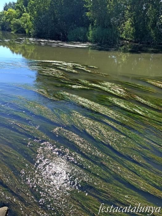 Montoliu de Lleida - La Palanca sobre el Segre