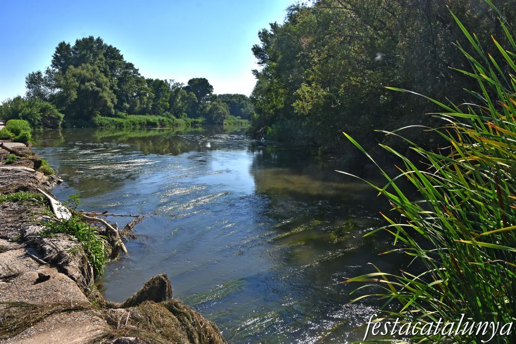 Montoliu de Lleida - La Palanca sobre el Segre 
