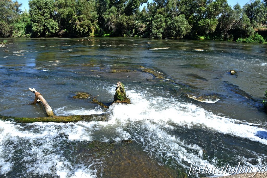Montoliu de Lleida - La Palanca sobre el Segre 