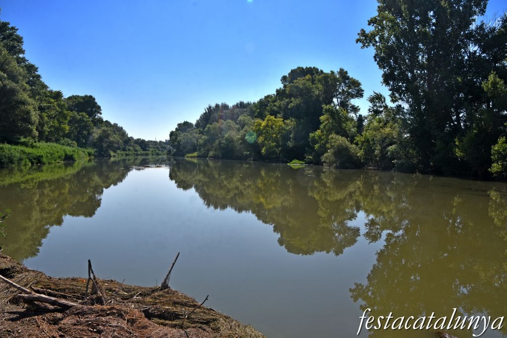Montoliu de Lleida - La Palanca sobre el Segre 
