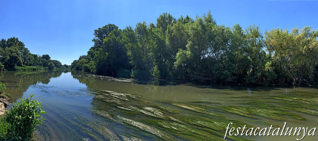 Montoliu de Lleida - La Palanca sobre el Segre 