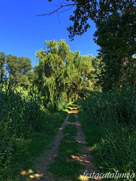 Montoliu de Lleida - Los Patamolls 