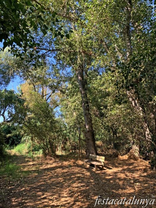 Montoliu de Lleida - Los Patamolls  