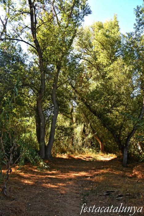 Montoliu de Lleida - Los Patamolls 