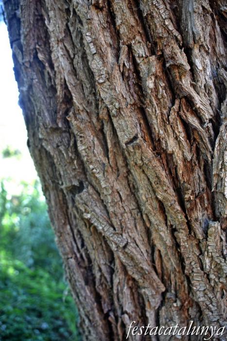 Montoliu de Lleida - Los Patamolls 