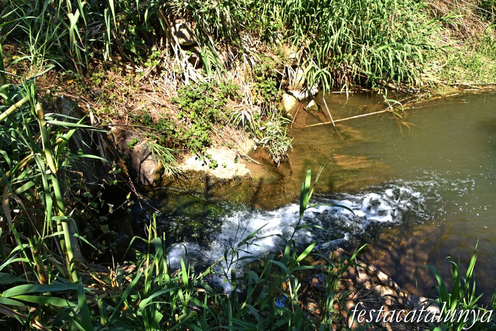 Montoliu de Lleida - Los Patamolls - Desembocadura Canal Urgell al Segre 