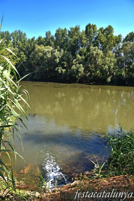 Montoliu de Lleida - Los Patamolls - Desembocadura Canal Urgell al Segre 
