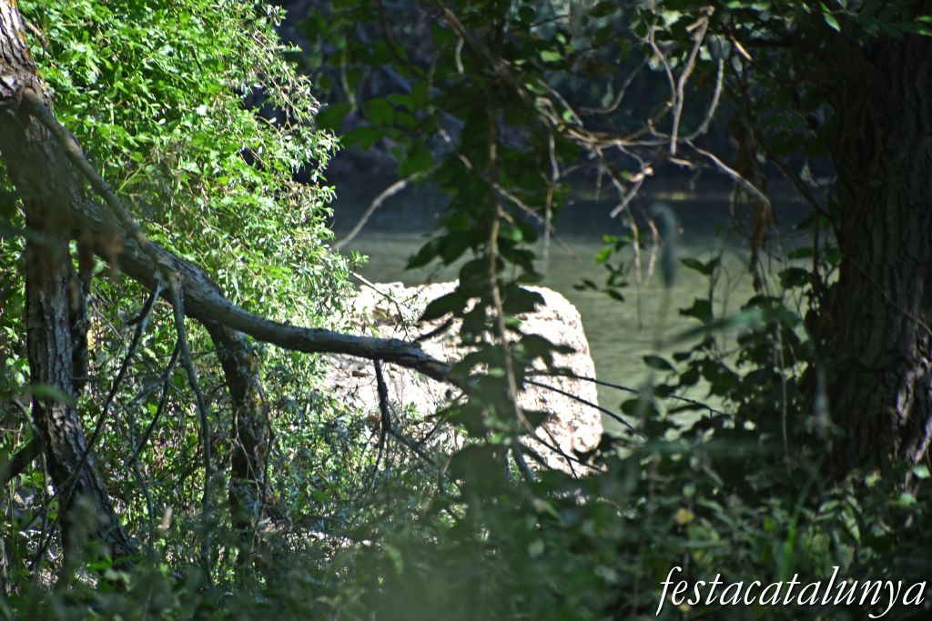 Montoliu de Lleida - Los Patamolls - Búnquer 