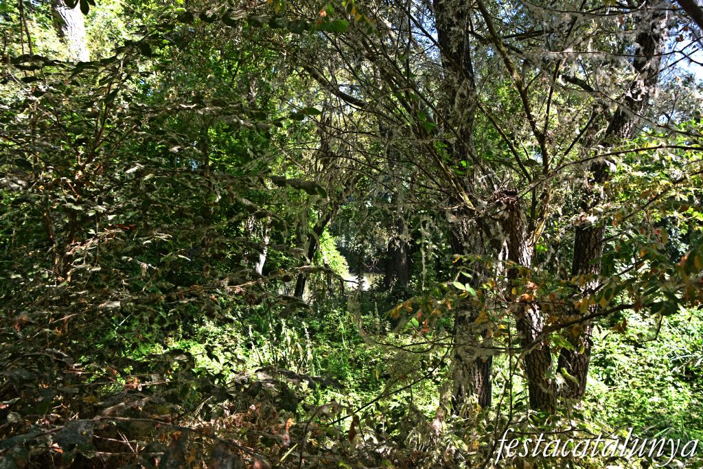 Montoliu de Lleida - Los Patamolls - Búnquer 