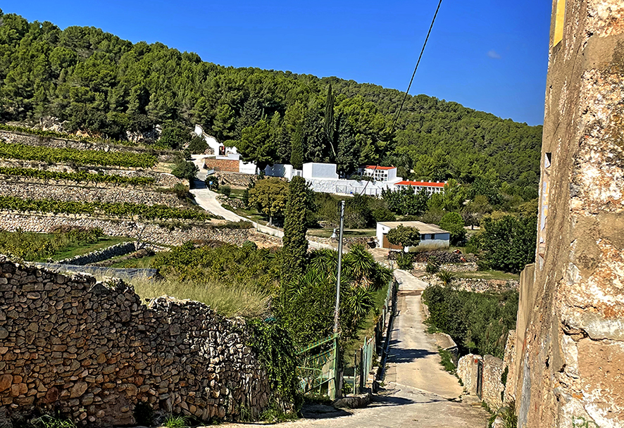 Albinyana - Camí cap al cementiri d'Albinyana (Foto: Ajuntament)