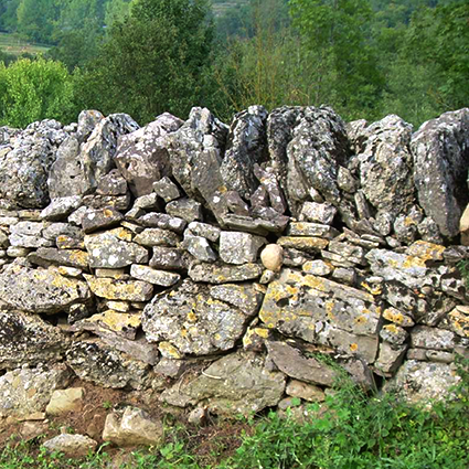 Passejada fotogràfica guiada observant Pedra Seca pels voltants de Vallfogona de Ripollès