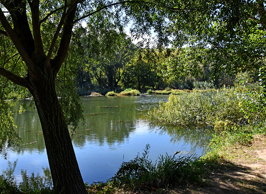 Riba del Ter a Colomers ***