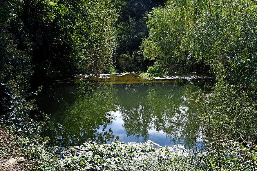 Safareig i Resclosa del Rec del Molí de Colomers