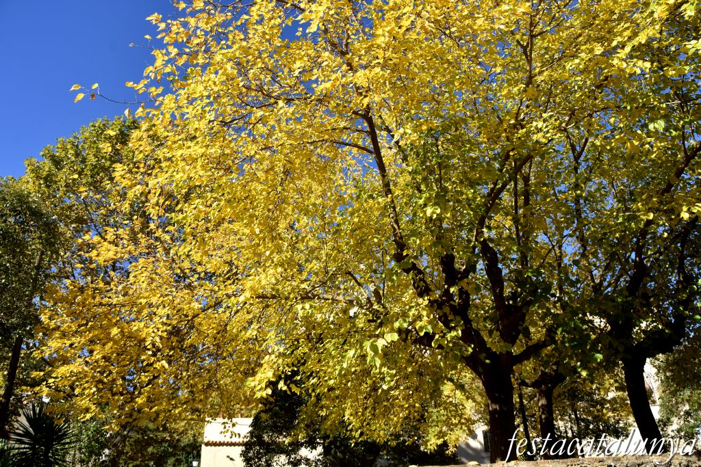 Montmell, El - Aiguaviva