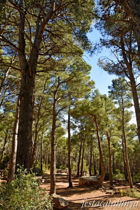 Montmell, El - Àrea Recreativa Forestal