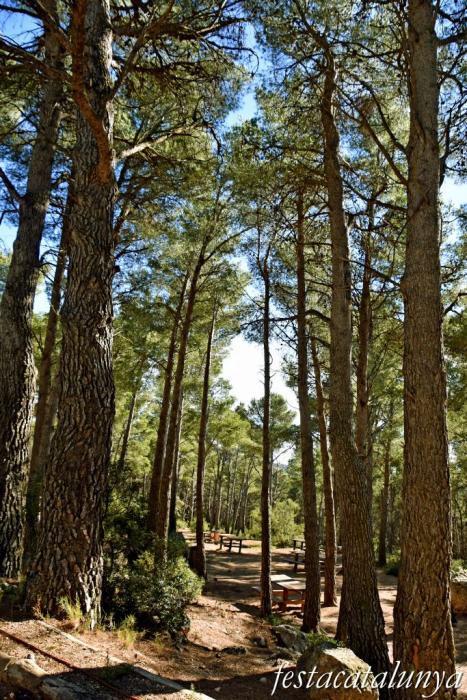 Montmell, El - Àrea Recreativa Forestal