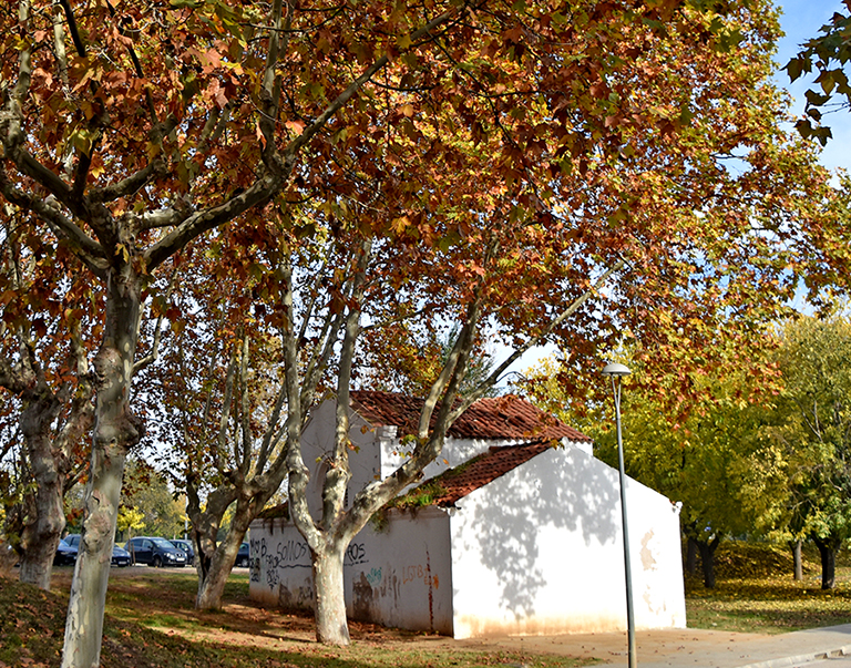 12 Passat, present i futur. L'excorxador de Montmeló