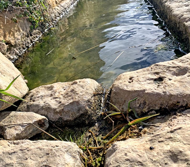 Les piquetes de Senan