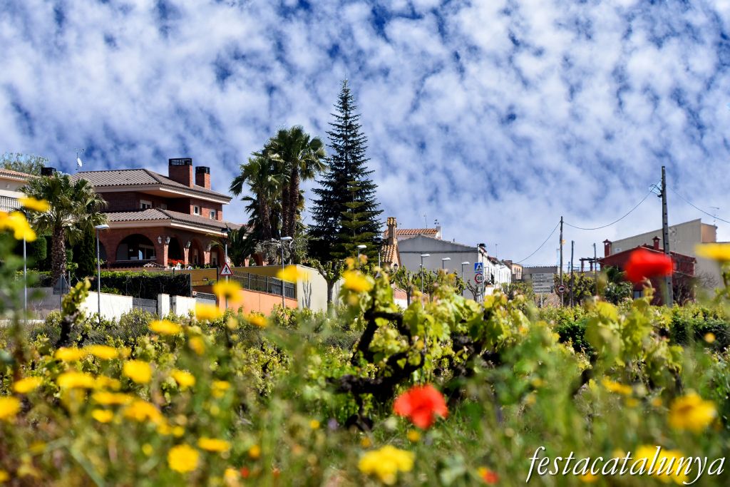 Avinyonet del Penedès - Poble de l'Arboçar
